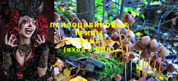 мдпв Алзамай